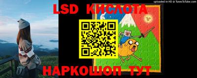спиды Камышлов