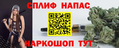 спиды Камышлов