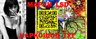 спиды Камышлов