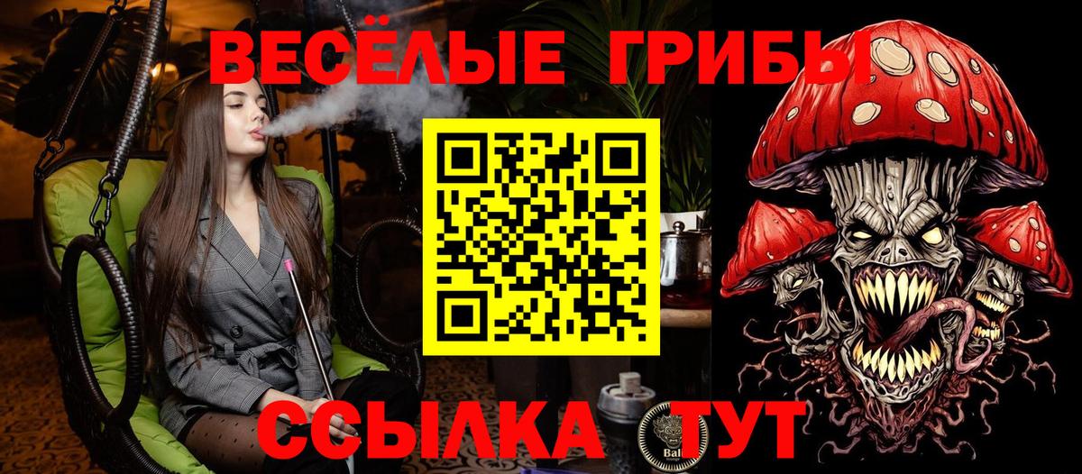 Ярцево  Галлюциногенные грибы Psilocybine cubensis  Вход с VPN 